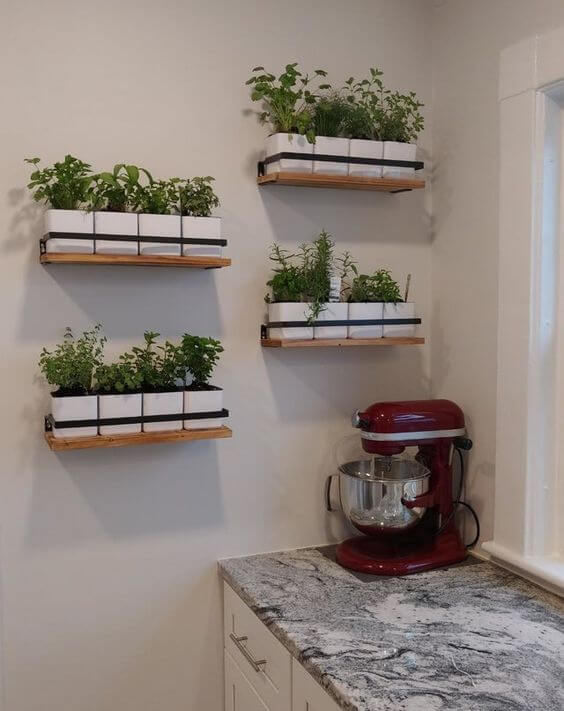 21 ideas for decorating kitchen space with plants - 135