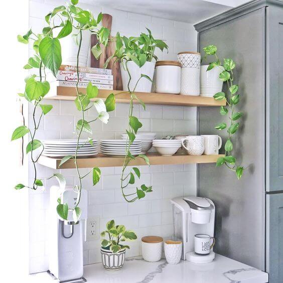 21 ideas for decorating kitchen space with plants - 155
