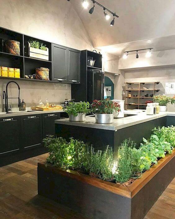 21 ideas for decorating kitchen space with plants - 159
