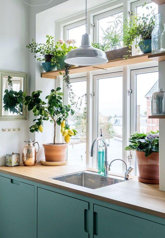 21 ideas for decorating kitchen space with plants - 163