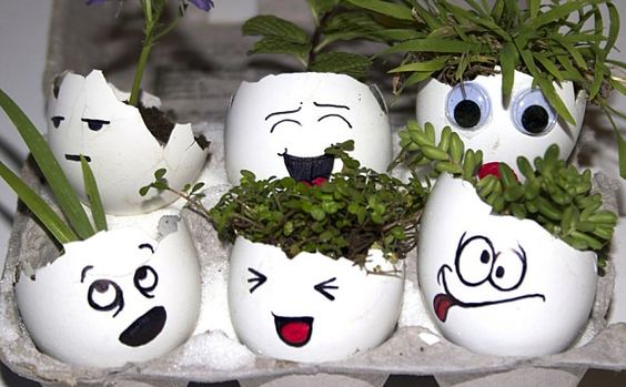 25 DIY eggshell planters to add interest to your indoor garden - 159