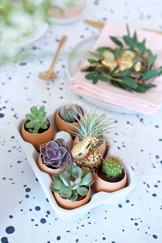 25 DIY eggshell planters to add interest to your indoor garden - 173