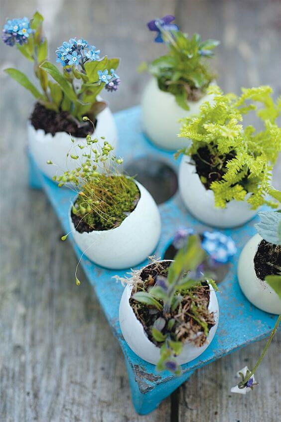25 DIY eggshell planters to add interest to your indoor garden - 179