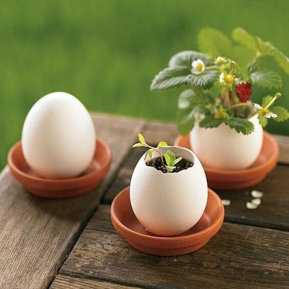 25 DIY eggshell planters to add interest to your indoor garden - 187