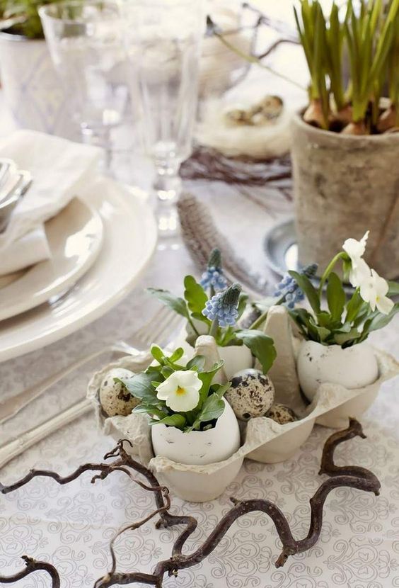 25 DIY eggshell planters to add interest to your indoor garden - 197