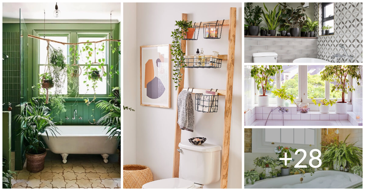 33 Enchanting Bathroom Plant Shelf Ideas