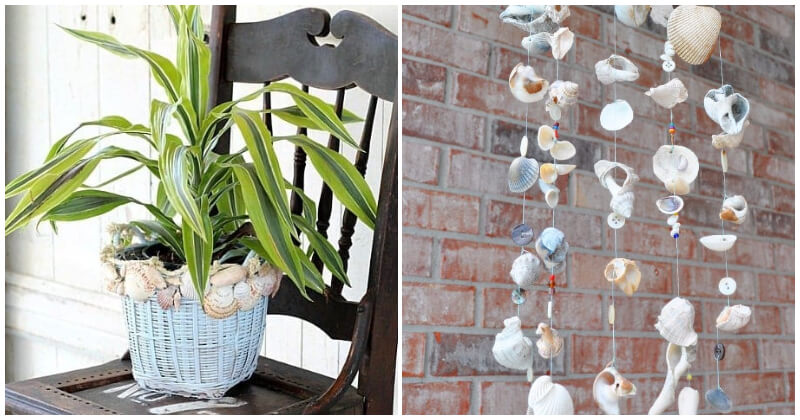 Easy DIY Seashell Ideas For Decorating Home