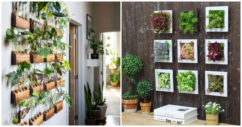 Charming wall decoration ideas with lots of greenery and plants