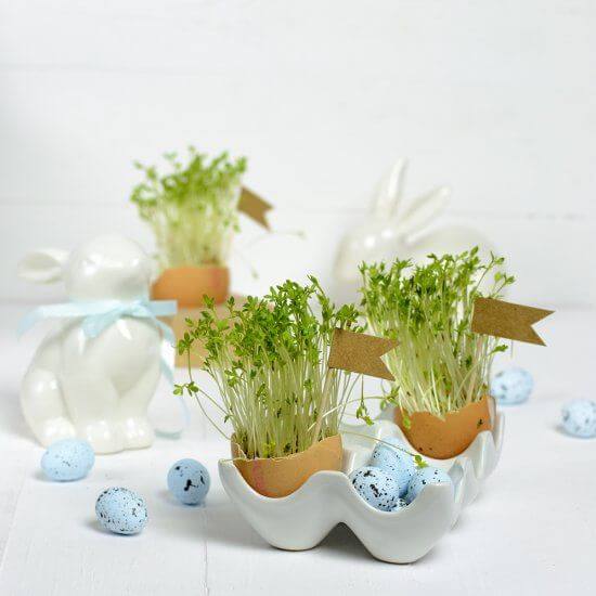 Fun eggshell craft ideas to decorate your home - 139