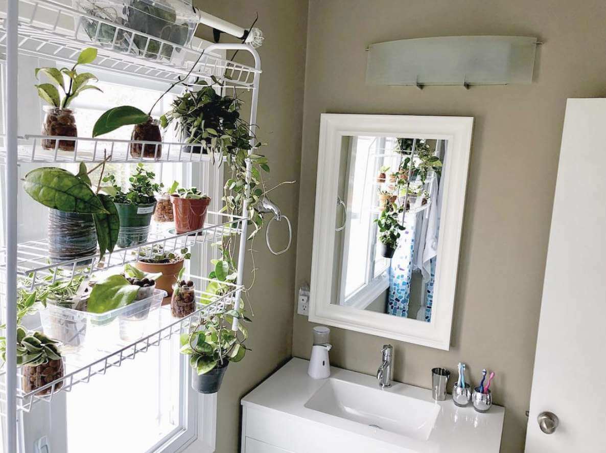 33 adorable bathroom plant shelf ideas - 207
