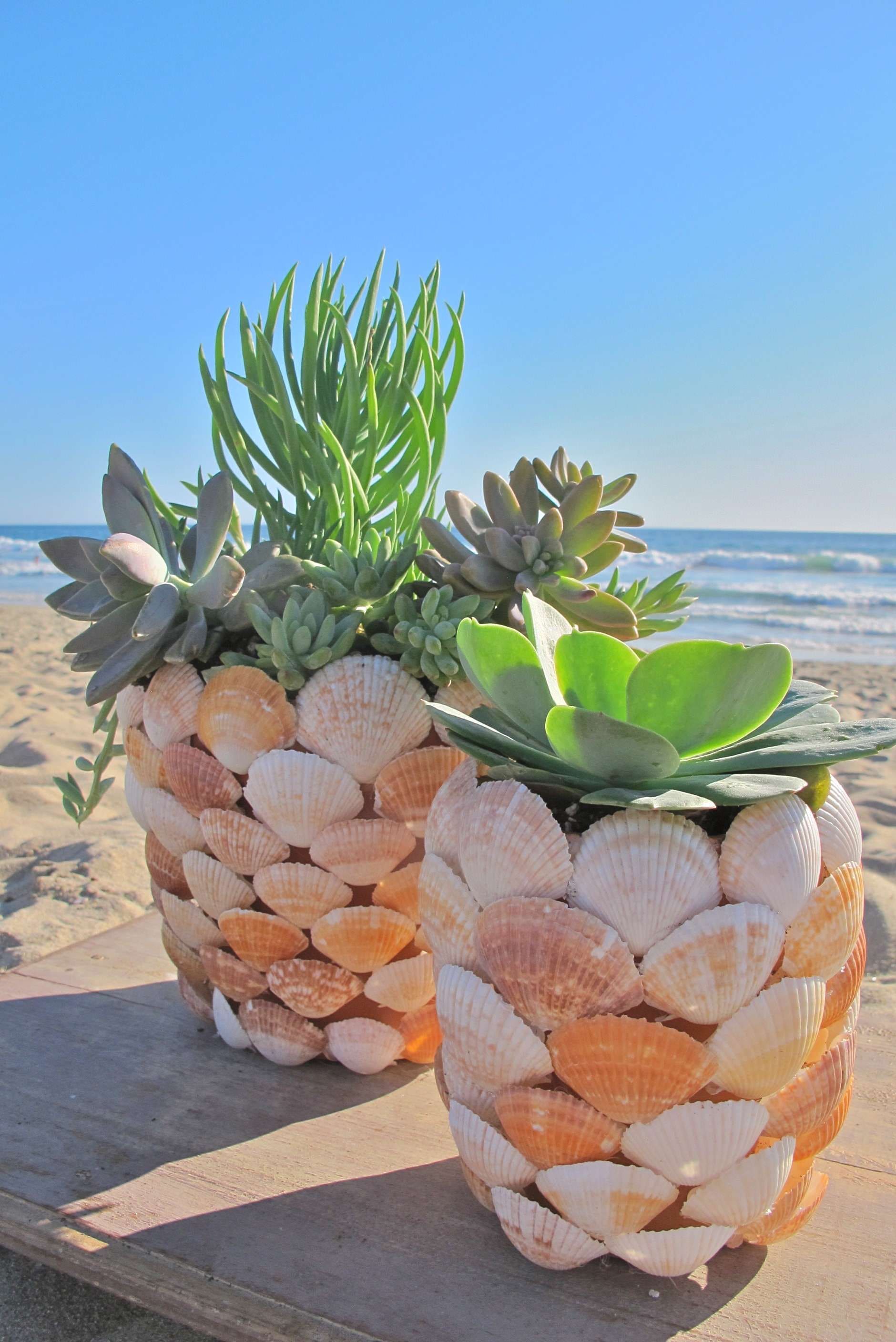 Easy DIY seashell ideas to decorate houses - 13