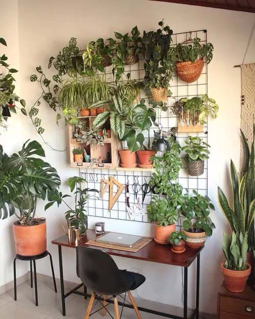 Charming wall decoration ideas with lots of greenery and plants - 13