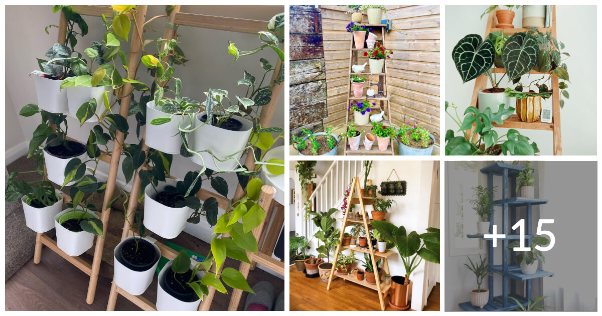 Best 20 Vertical Gardens On Ladder Planter Ideas