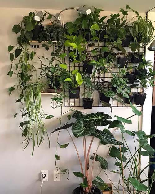 Charming wall decoration ideas with lots of greenery and plants - 21