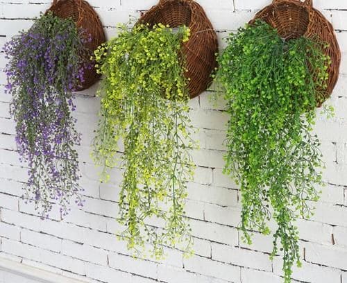 Charming wall decoration ideas with lots of greenery and plants - 25