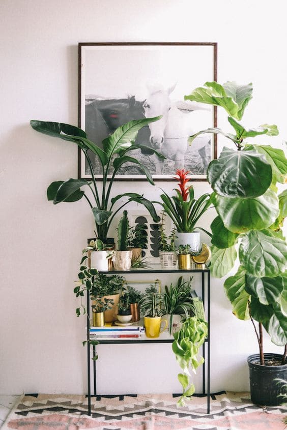 28 beautiful plant shelves for your home - 109