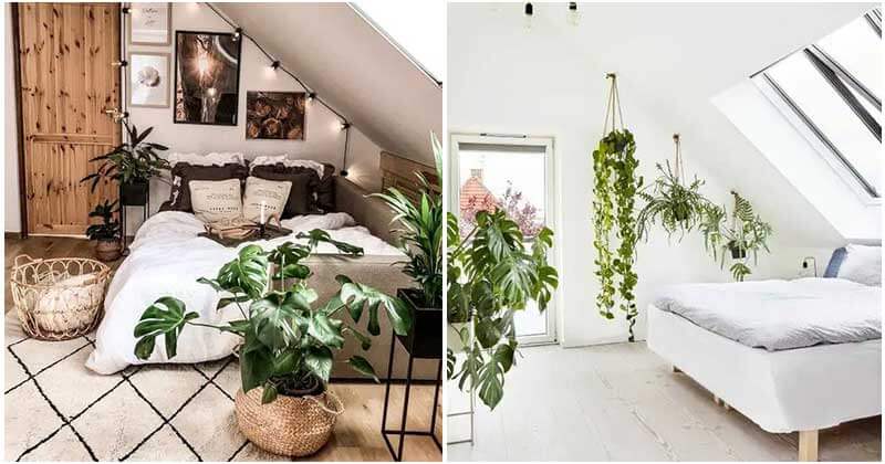 25 charming plant-filled attic room ideas