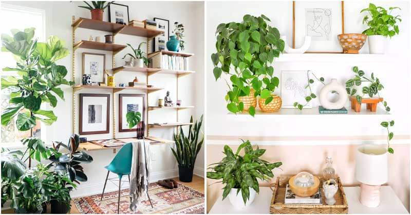 22 Perfectly Styled Plant Shelf Ideas To Decor Your Home