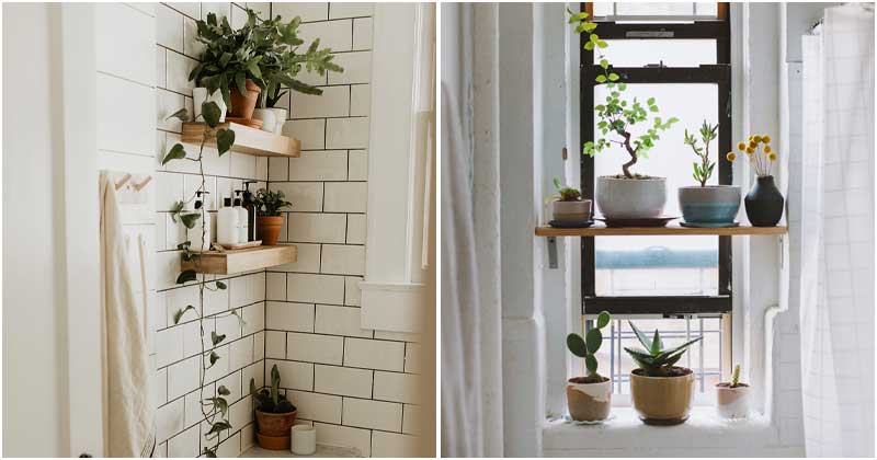 20 Best Ideas To Make Your Own Bathroom Plant Shelves