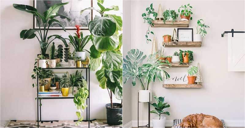 28 Beautiful Plant Shelves For Your Home