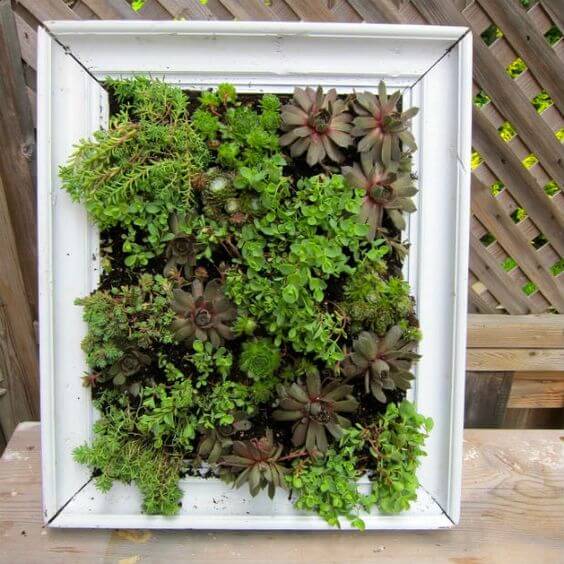 26 creative DIY ideas with old picture frames - 201