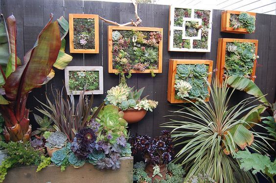 26 creative DIY ideas with old picture frames - 205