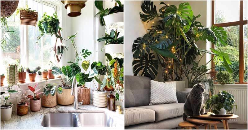 30 stunning indoor garden trends you will be following this year - 101