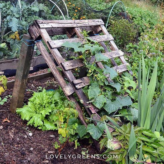 30 wood pallet projects for home and garden - 195