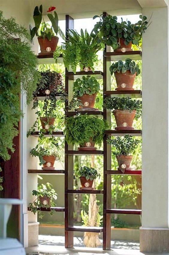 47 stunning ways to display plants in your living space - 311