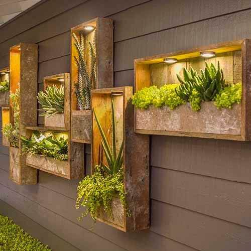47 stunning ways to display plants in your living space - 365