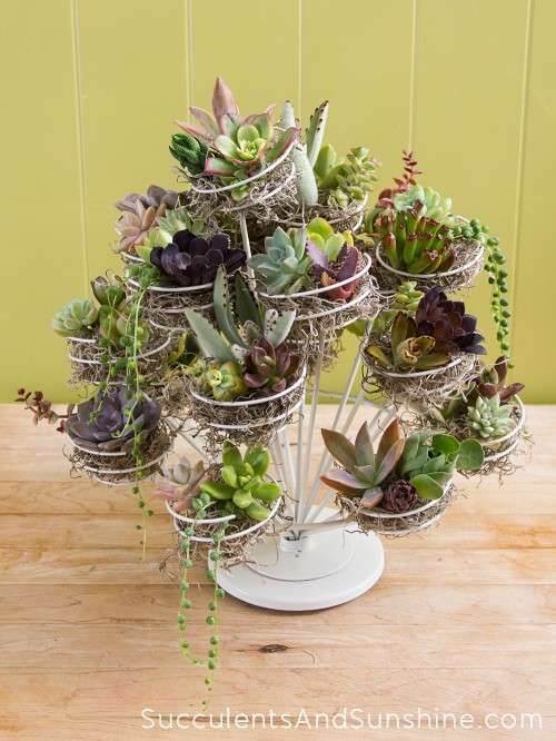 47 stunning ways to display plants in your living space - 375