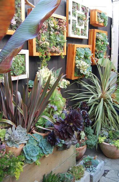 47 stunning ways to display plants in your living space - 379