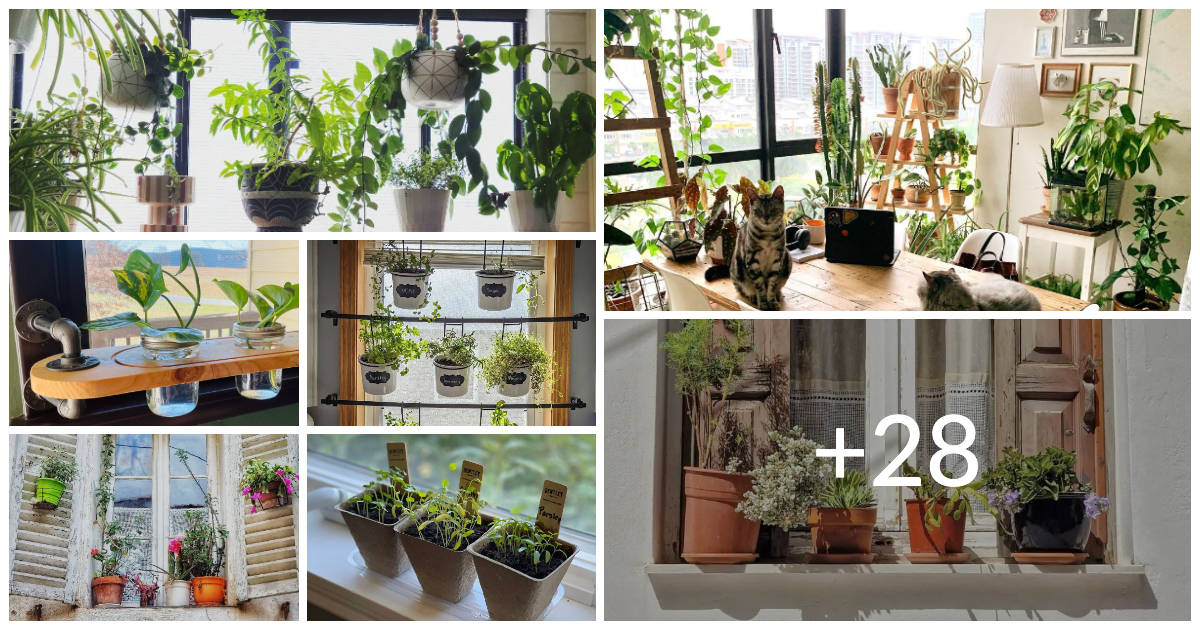 35 Best Window Garden And Landscape Ideas