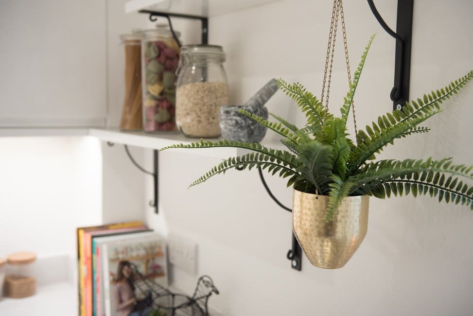 21 best ideas to decorate the house with ferns - 177