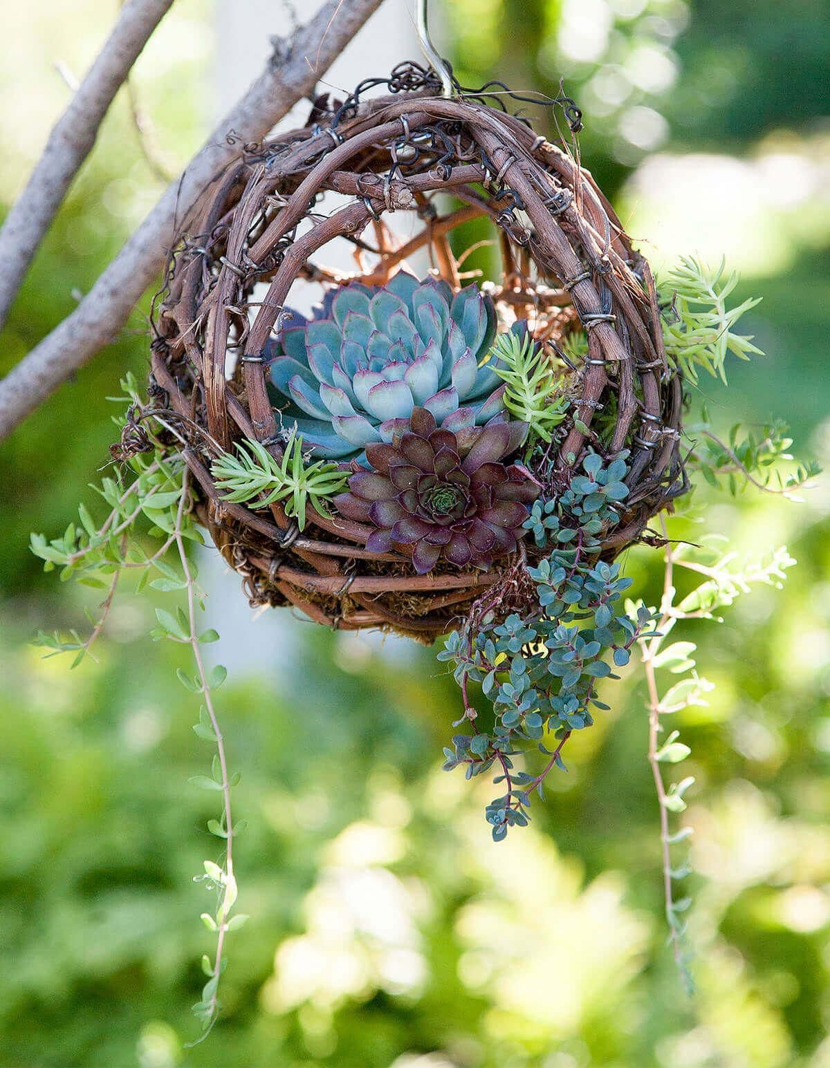 25 fascinating ideas to build a hanging mini succulent garden - 73