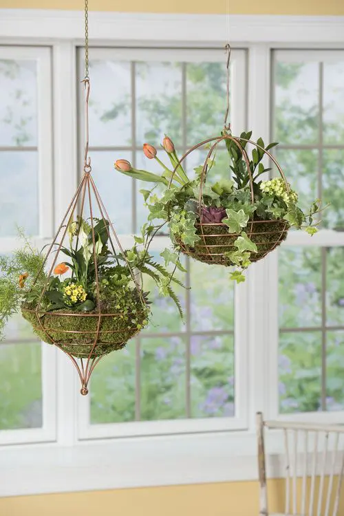 18 unique hanging basket ideas for your houseplant - 71
