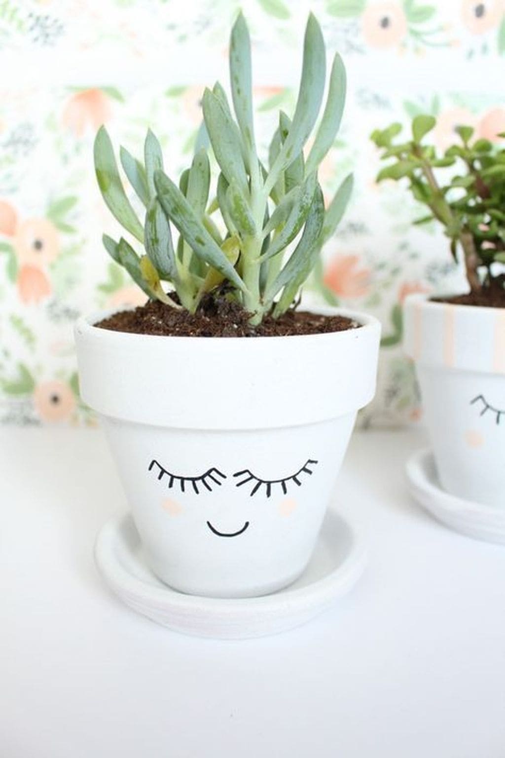 20 eye-catching DIY houseplant pot ideas - 157