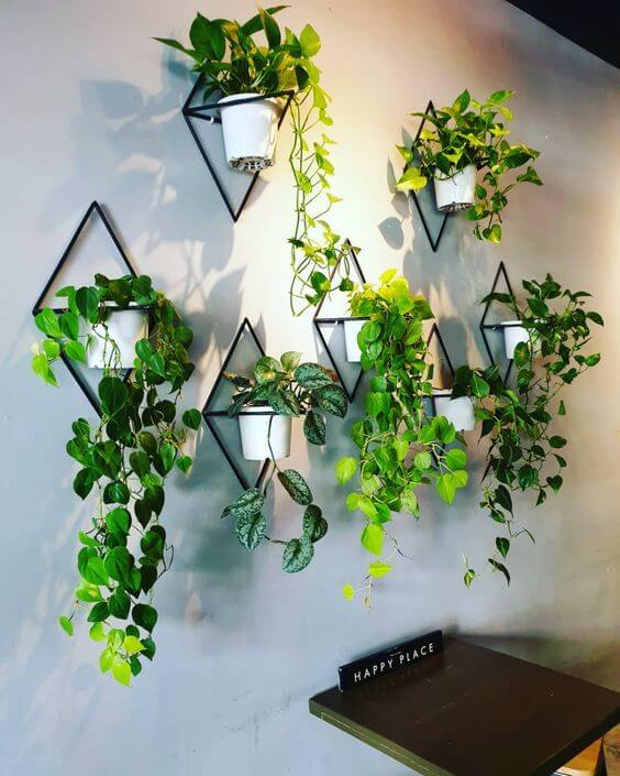 35 eye-catching indoor wall decor ideas with plants that will inspire you - 223