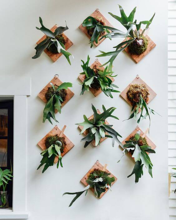 35 eye-catching indoor wall decor ideas with plants that will inspire you - 227