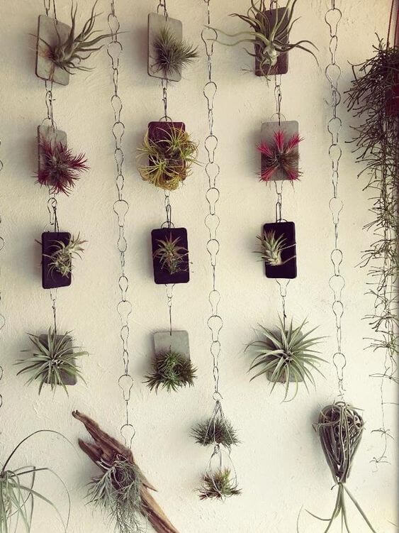35 eye-catching indoor wall decor ideas with plants that will inspire you - 235