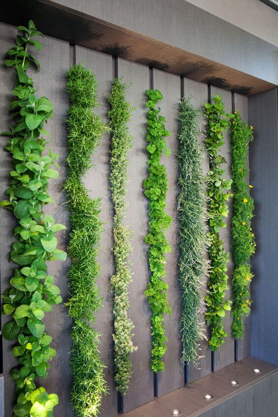 35 eye-catching indoor wall decor ideas with plants that will inspire you - 241