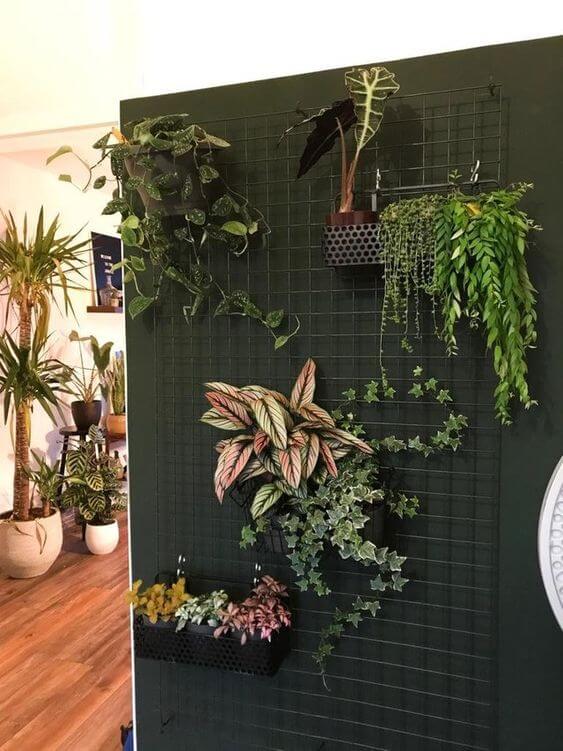 35 eye-catching indoor wall decor ideas with plants that will inspire you - 257