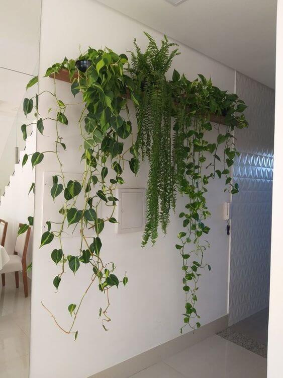 35 eye-catching indoor wall decor ideas with plants that will inspire you - 259