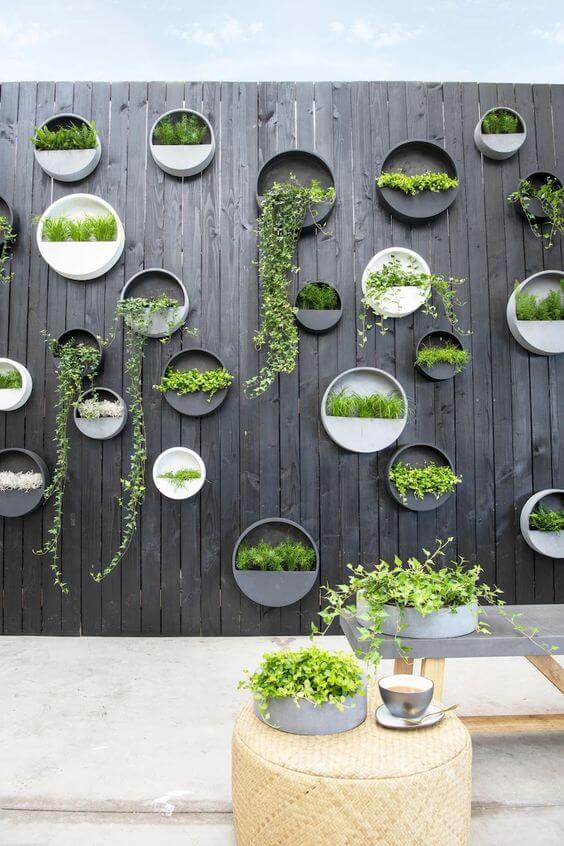 35 eye-catching indoor wall decor ideas with plants that will inspire you - 263