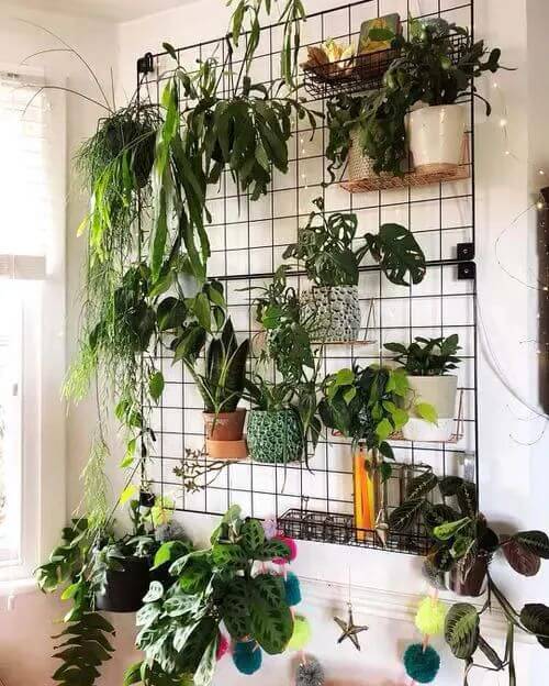 35 eye-catching indoor wall decor ideas with plants that will inspire you - 281
