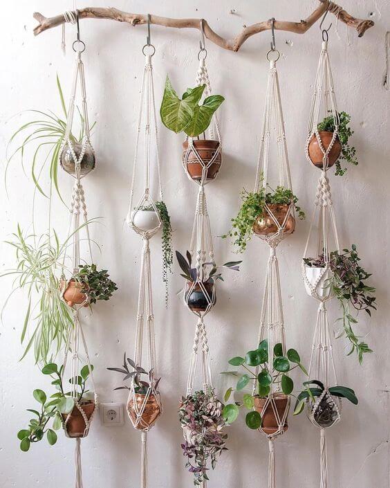 35 eye-catching indoor wall decor ideas with plants that will inspire you - 285