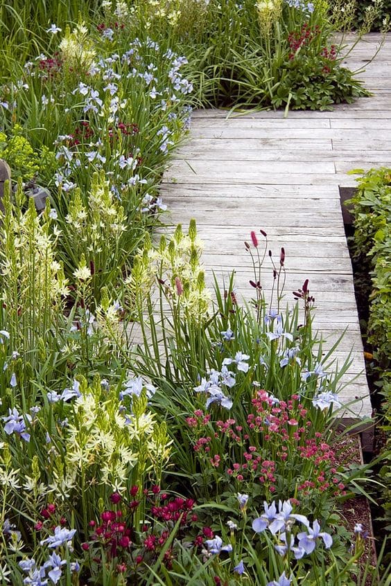 Beautiful flower path ideas for your garden - 71