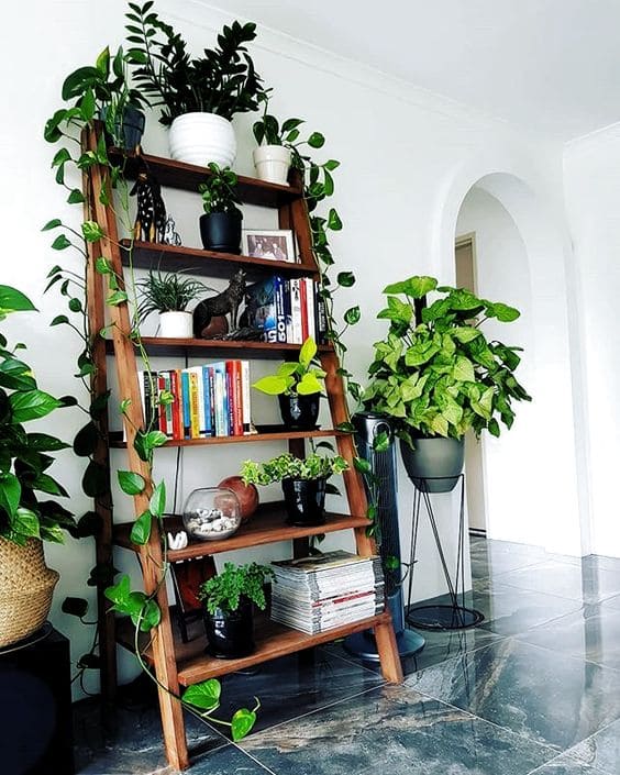 28 beautiful plant shelves for your home - 127