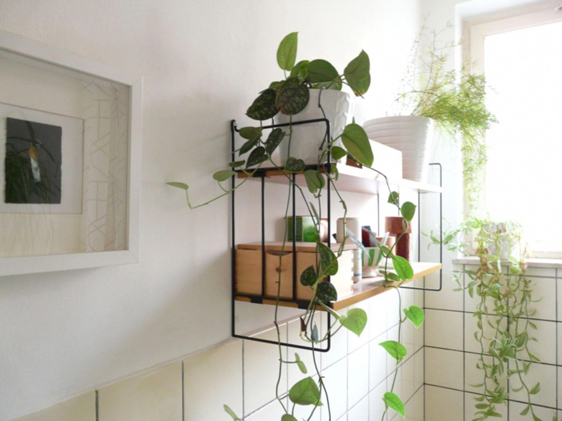 20 best ideas to make your own bathroom plant shelves - 143