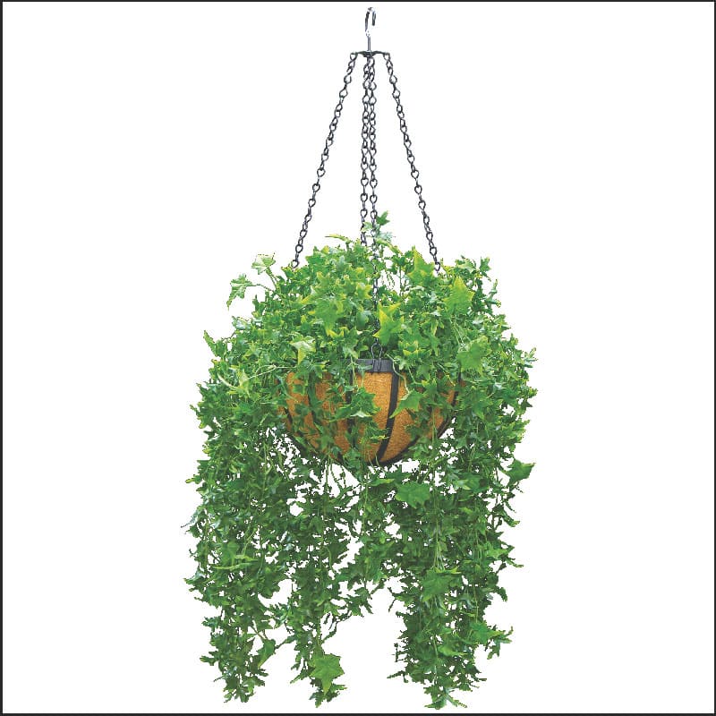 18 unique hanging basket ideas for your houseplant - 73
